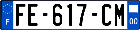 FE-617-CM