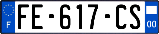 FE-617-CS