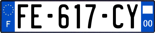 FE-617-CY