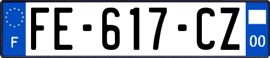 FE-617-CZ