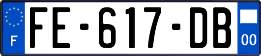 FE-617-DB