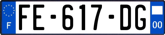 FE-617-DG