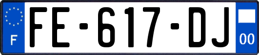 FE-617-DJ