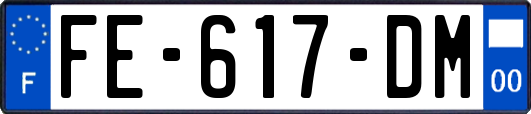 FE-617-DM