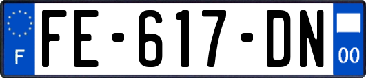 FE-617-DN