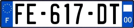 FE-617-DT