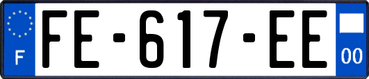 FE-617-EE