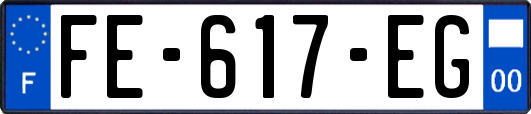 FE-617-EG