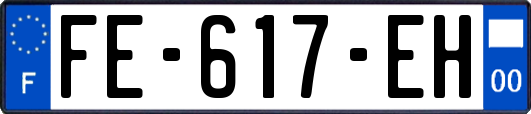 FE-617-EH