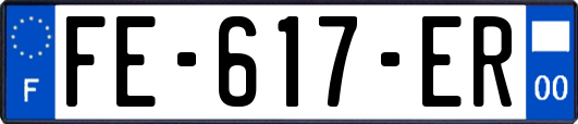 FE-617-ER
