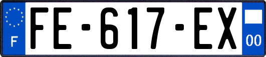 FE-617-EX