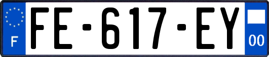 FE-617-EY