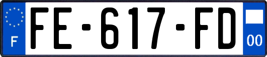 FE-617-FD