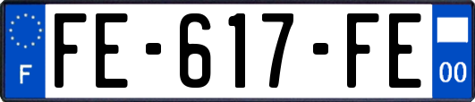 FE-617-FE