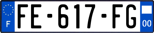 FE-617-FG