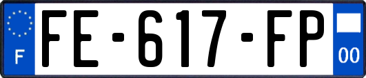 FE-617-FP