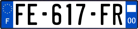 FE-617-FR
