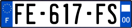 FE-617-FS
