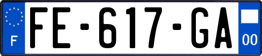 FE-617-GA