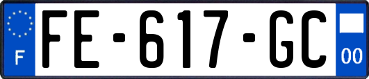 FE-617-GC