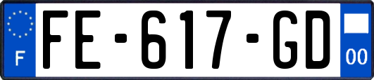 FE-617-GD