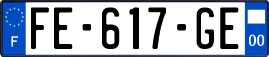 FE-617-GE