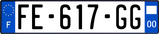 FE-617-GG