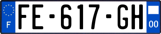 FE-617-GH