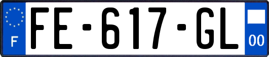 FE-617-GL