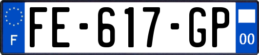 FE-617-GP