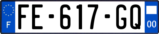 FE-617-GQ