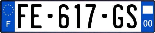 FE-617-GS