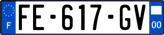FE-617-GV