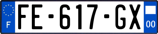 FE-617-GX