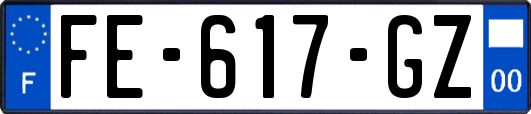 FE-617-GZ
