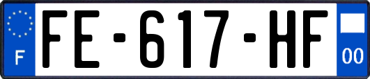 FE-617-HF