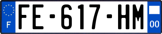 FE-617-HM