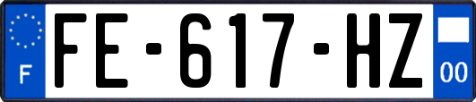 FE-617-HZ