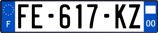 FE-617-KZ