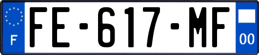 FE-617-MF