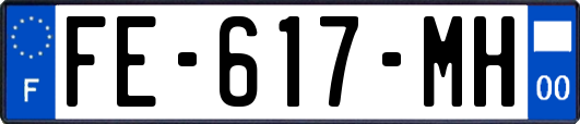 FE-617-MH