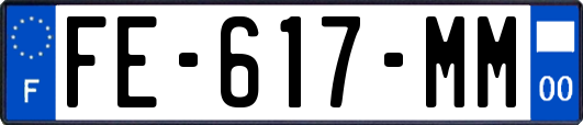 FE-617-MM
