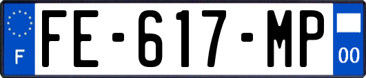 FE-617-MP