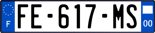 FE-617-MS