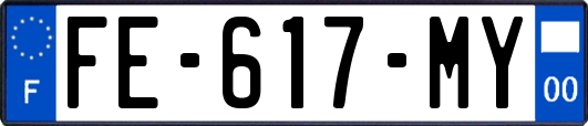 FE-617-MY