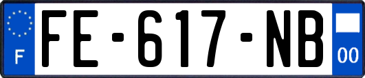 FE-617-NB