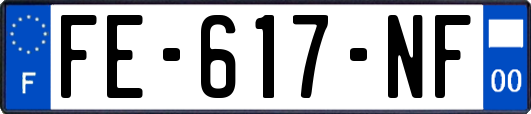 FE-617-NF