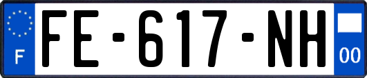 FE-617-NH