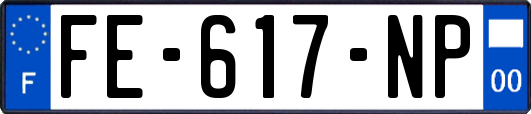 FE-617-NP