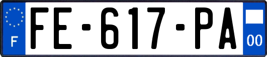 FE-617-PA